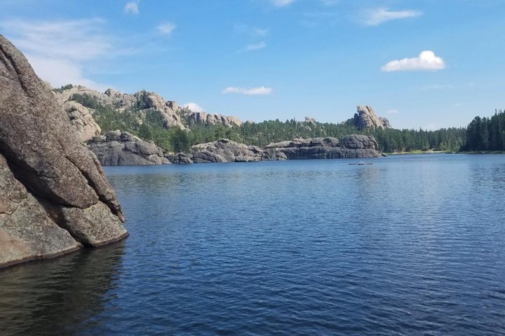 Tour del Monte Rushmore e delle Black Hills con due pasti e uno spettacolo di varietà musicale