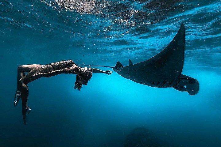 Nusa Penida snorkelavontuur (privé en all-inclusive)