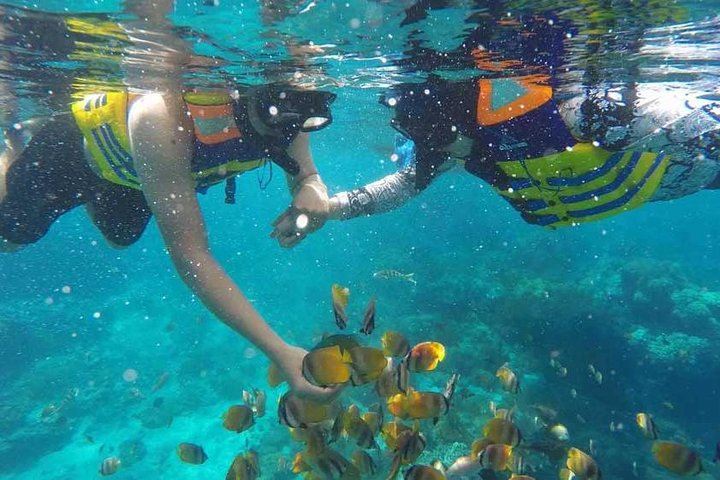 Nusa Penida snorkelavontuur (privé en all-inclusive)