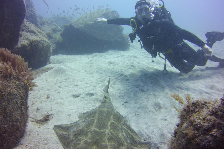 Scuba Diving Beginners Session i Costa Adeje