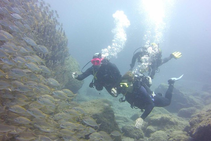 Scuba Diving Beginners Session i Costa Adeje