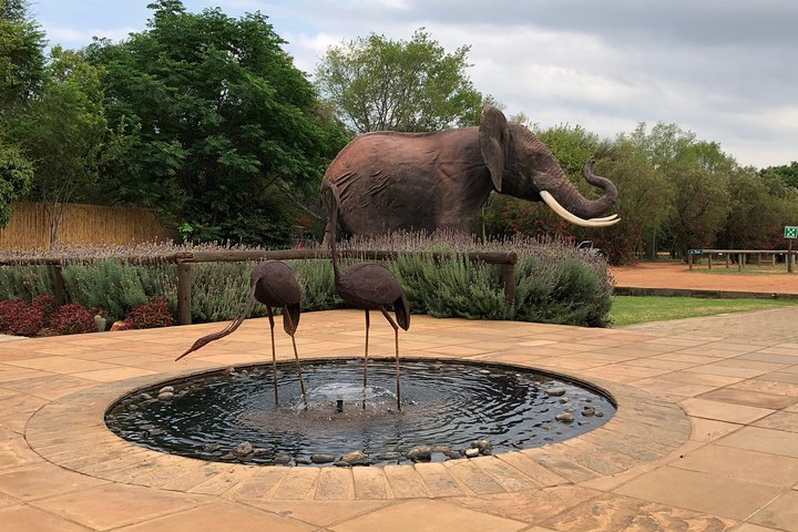Tour zum Elefantenschutzgebiet ab Johannesburg