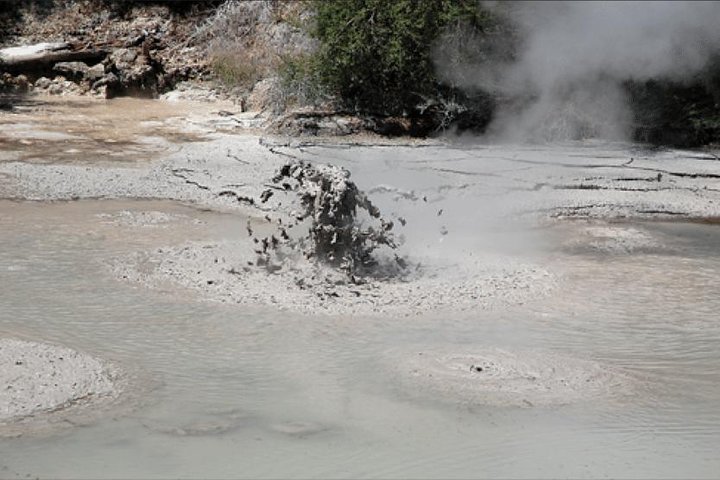 Rotorua via Kiwi/sjøland og et besøk til ikoniske Whakarewarewa