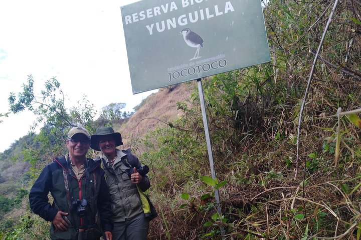 Vogelbeobachtungstour in Giron und Yunguilla Jocotoco Reserve von Cuenca