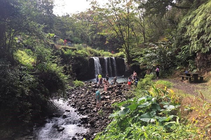 Maui-Tour: Tagesausflug von Lahaina zur Straße nach Hana mit Abholung
