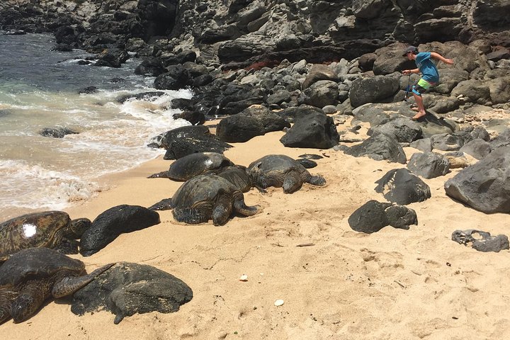 Maui-Tour: Tagesausflug von Lahaina zur Straße nach Hana mit Abholung