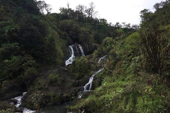 Abenteuertour auf der Straße nach Hana in kleiner Gruppe mit Abholung und Mittagessen
