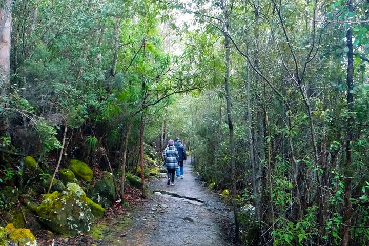 Autobús Kunanyi/Mt Wellington Explorer: recorrido de regreso (2,5 horas)