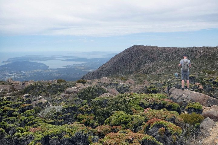 Autobús Kunanyi/Mt Wellington Explorer: recorrido de regreso (2,5 horas)
