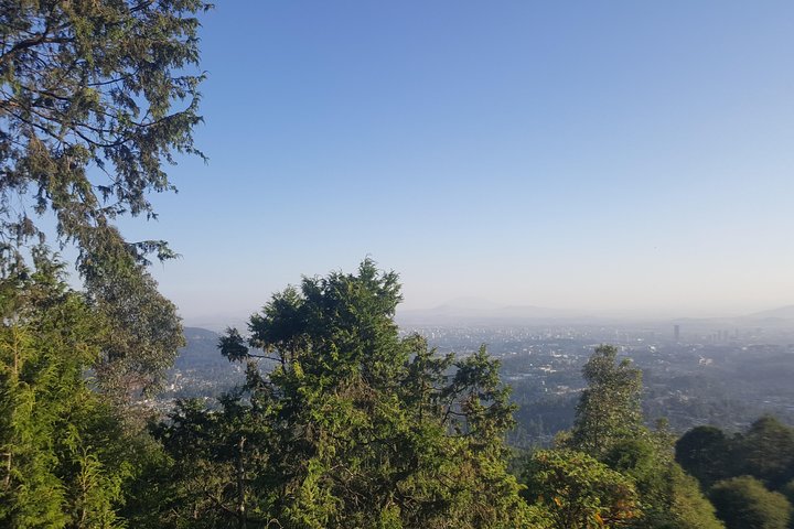 Full Day Tour of Addis Ababa with Hotel Pickup and Drop-off