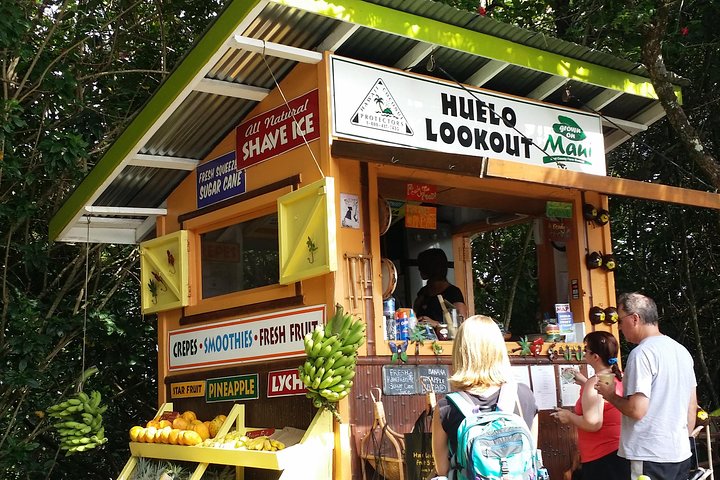 Privat Hana, Ocean, Turtle Town, Winery Tour of Maui