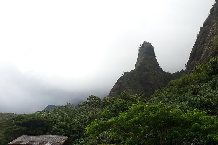 Privat Hana, Ocean, Turtle Town, Winery Tour of Maui
