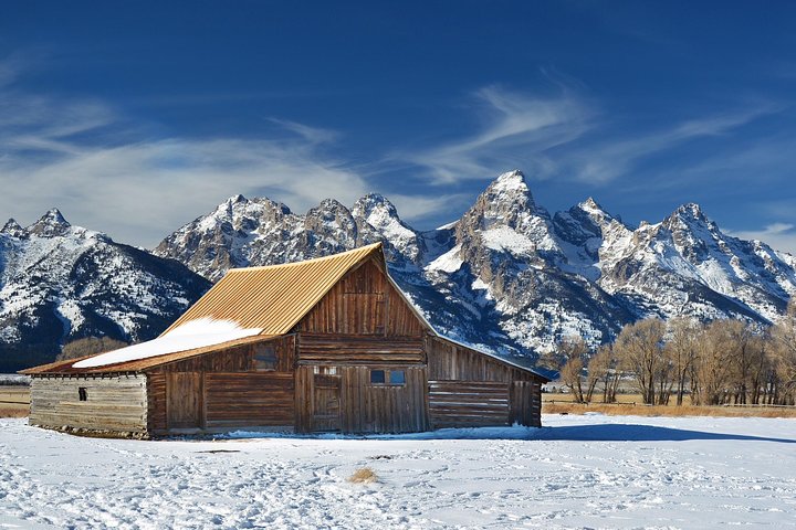 Grand Teton Wildlife Safari em um veículo fechado ou ao ar livre (dependendo da época)