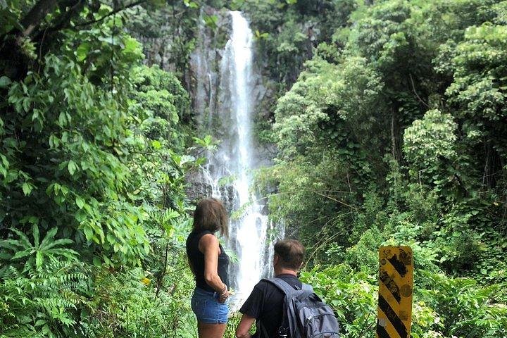 Maui-Tour: Tagesausflug von Lahaina zur Straße nach Hana mit Abholung