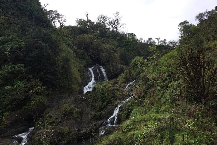 Maui-Tour: Tagesausflug von Lahaina zur Straße nach Hana mit Abholung