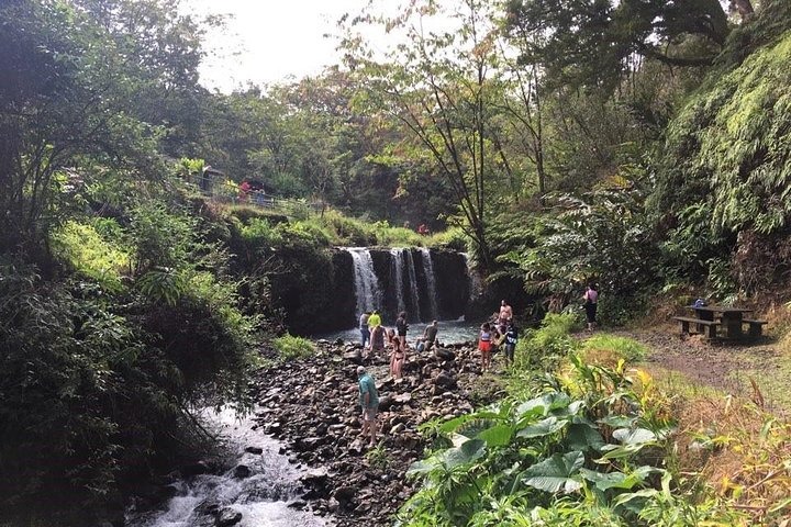 Route de Hana : Journée complète de route panoramique avec Blacksand et cascades