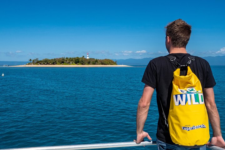 Halv dag med låga öar Snorkling Tour från Port Douglas