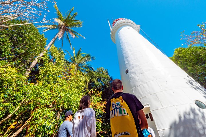 Halv dag med låga öar Snorkling Tour från Port Douglas