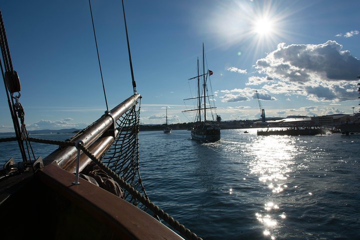 2 - Crucero turístico de una hora por el fiordo de Oslo