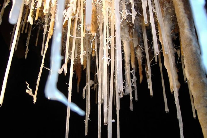 Cagliari : Experiencia privada de día completo en Porto Flavia y cuevas de los Zuddas desde Chía