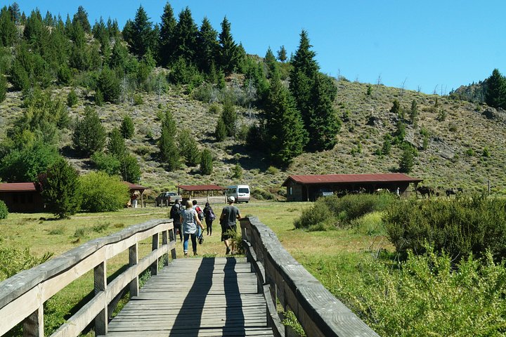 Paseos a caballo en Bariloche y tradicional recorrido por la barbacoa argentina