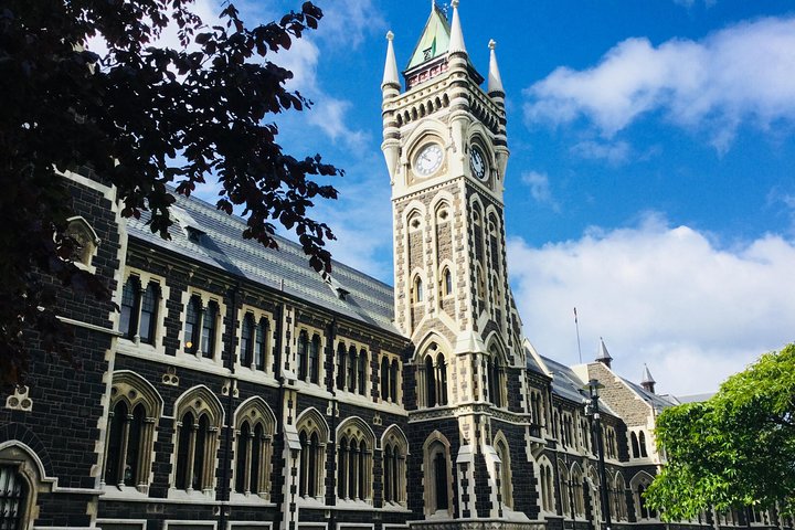 Half day Private Tour of Dunedin City Highlights and Peninsula Scenery
