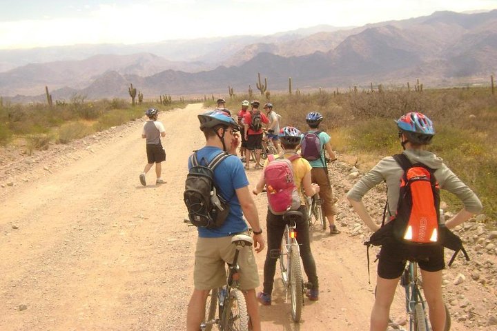 3-daagse tour van Cachi, Laguna Brealito en Nationaal Park Los Cardones