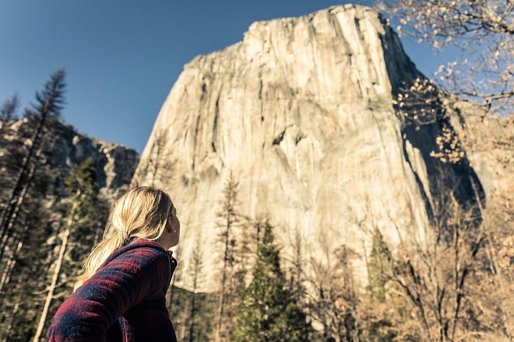 Excursión al Parque Nacional de Yosemite y Secuoyas Gigantes desde San José