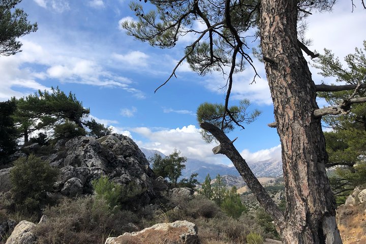Sarakinakloof, Kritza, Olijfolieproeverij, Bergen, Zuidkust