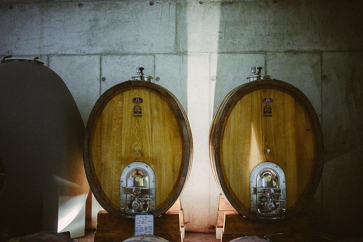 Tour a Sete, una granja de ostras y cata de vinos