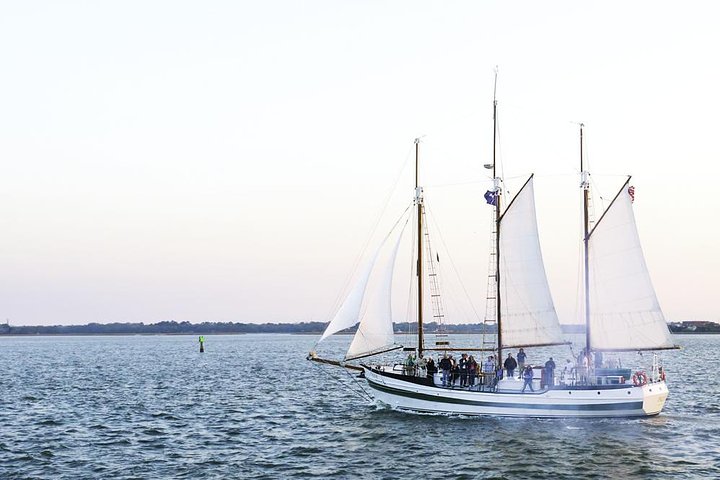 Crociera pomeridiana con i delfini in goletta nel porto di Charleston