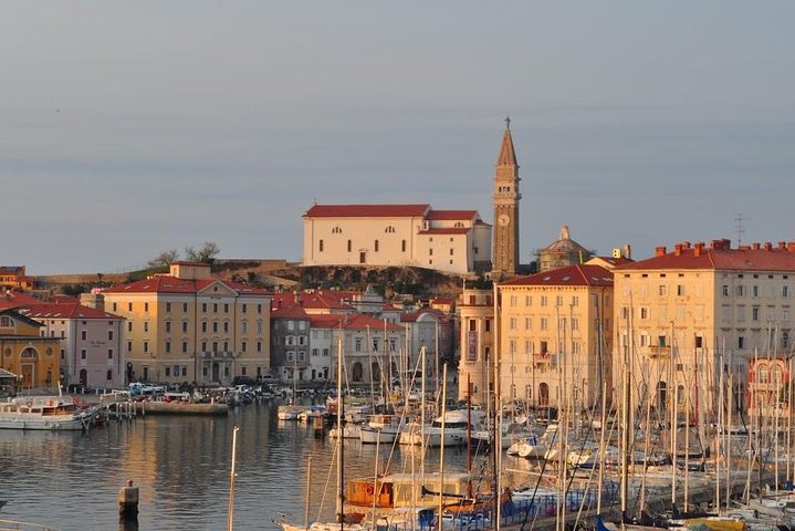 Piran og den naturskjønne slovenske kysten - Privat tur fra Trieste