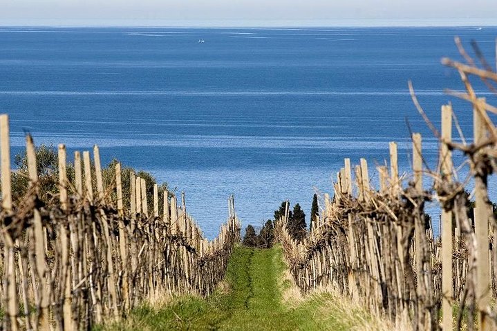 Piran og den naturskjønne slovenske kysten - Privat tur fra Trieste
