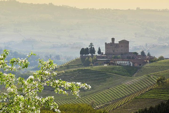 Piedmont Winery Tour: Goûter Barolo, Barbaresco et nourriture traditionnelle