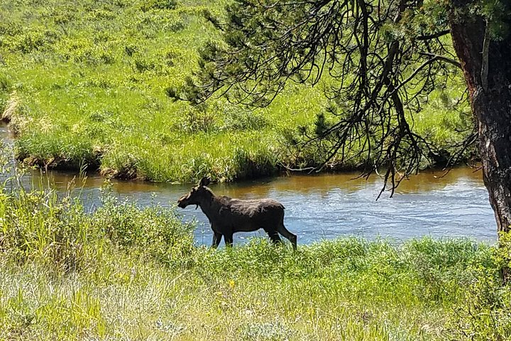 Rocky Mountain National Park i sommertur fra Denver