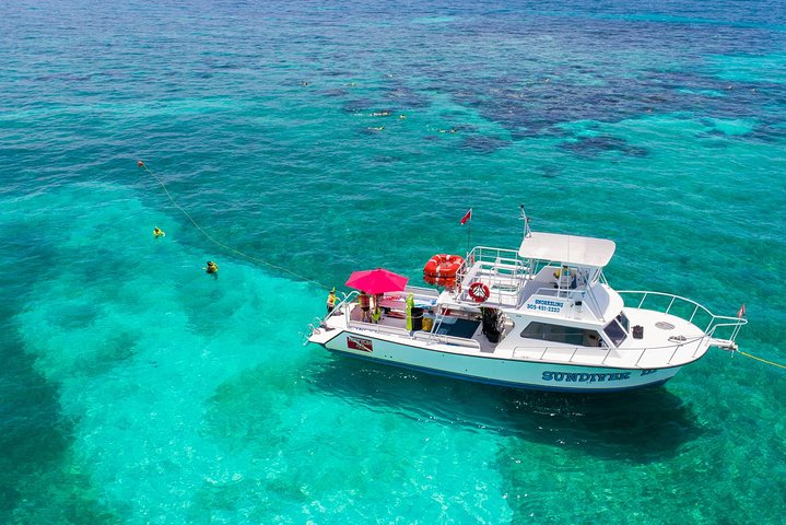 Snorkeltur i Key Largo med maske, finner og vest inkludert