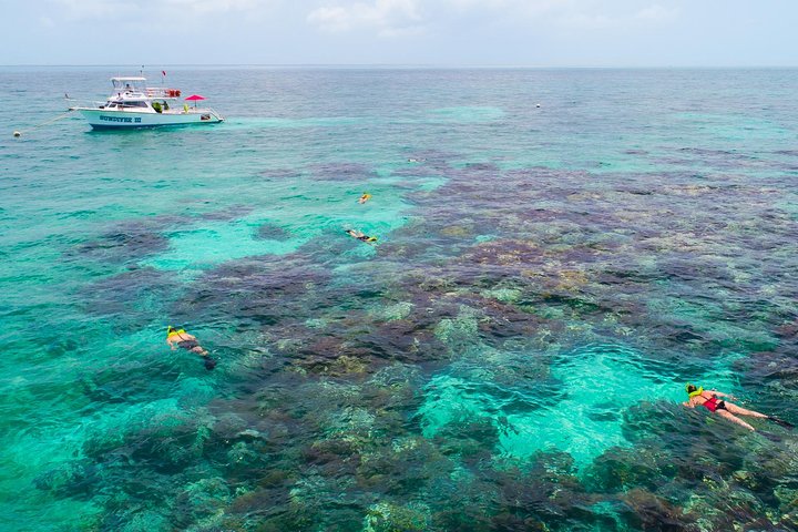 Snorkeltur i Key Largo med maske, finner og vest inkludert