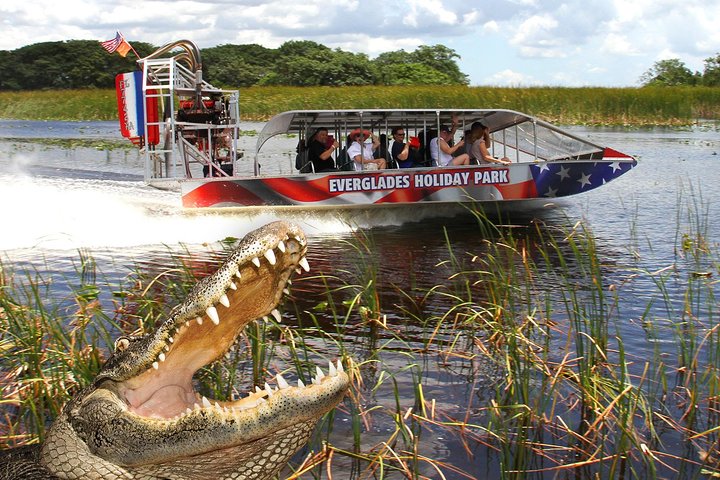 Everglades VIP Airboat Tour med transport inkludert