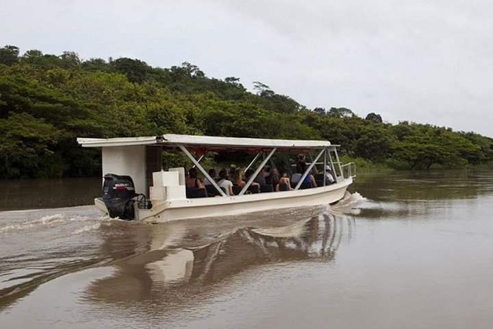 Safari en bateau à Palo Verde