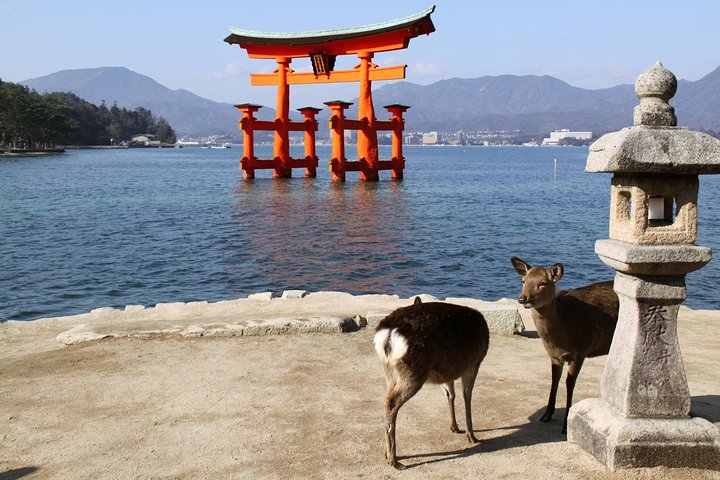 Tour en autobús de 1 día por Hiroshima y Miyajima