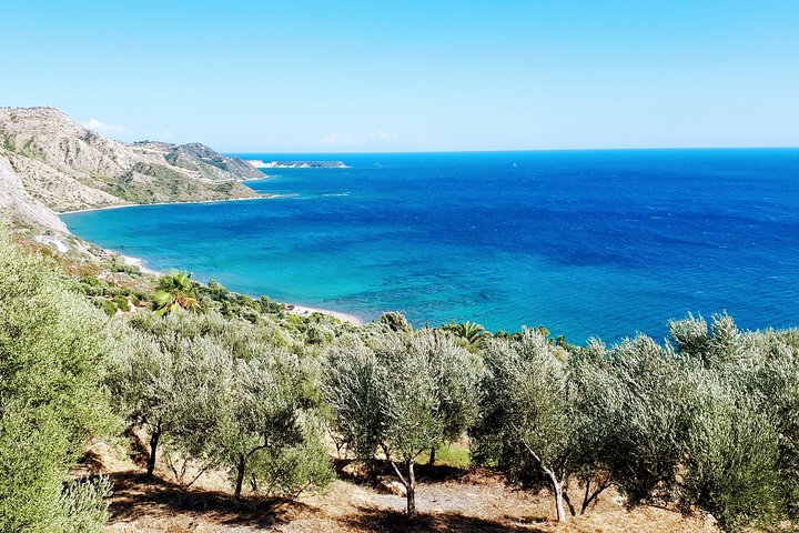 Zakynthos : Eintägige Kleingruppentour zum Navagio Strand Blaue Höhlen & Draufsicht