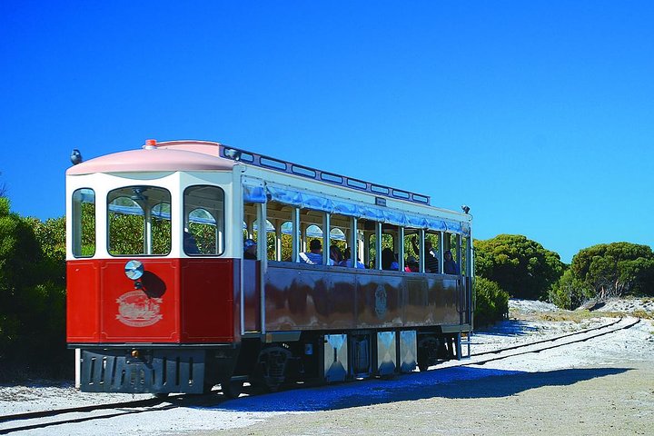 Rottnest Island Grand Tour, incluindo almoço e passeio de trem histórico