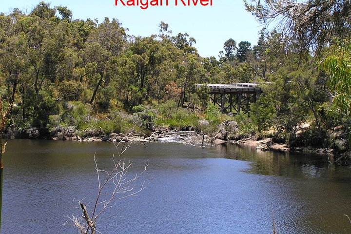 Kalgan Queen Scenic Cruises a four hour sheltered water wildlife tour daily fun.