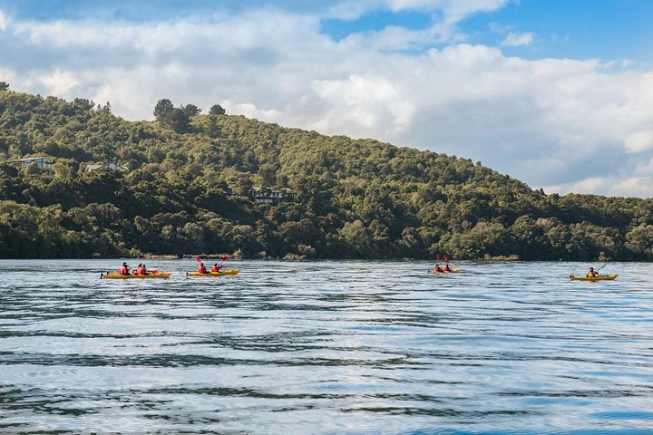 The Maori Carvings Halbtageskajak
