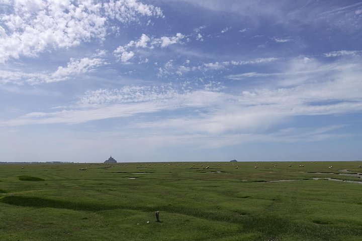 Excursión de un día con conductor local al Mont Saint Michel desde Saint Malo 6h