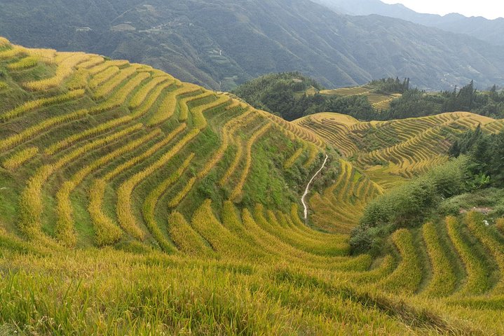 Trasferimento privato da Fenghuang a Guilin e fermate alle terrazze di Longji