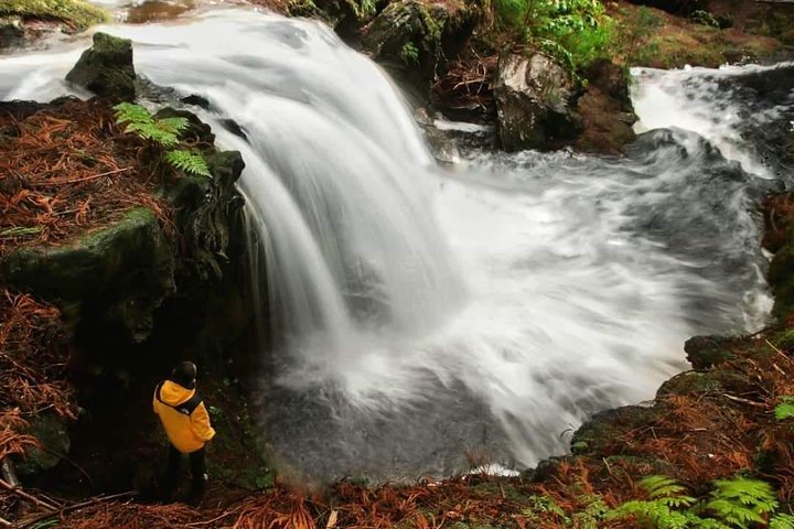 HIKING XL (privat dagstur)