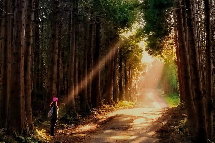HIKING XL (privat dagstur)