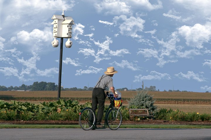 Premium Amish Country Tour inkludert Amish Farm og House