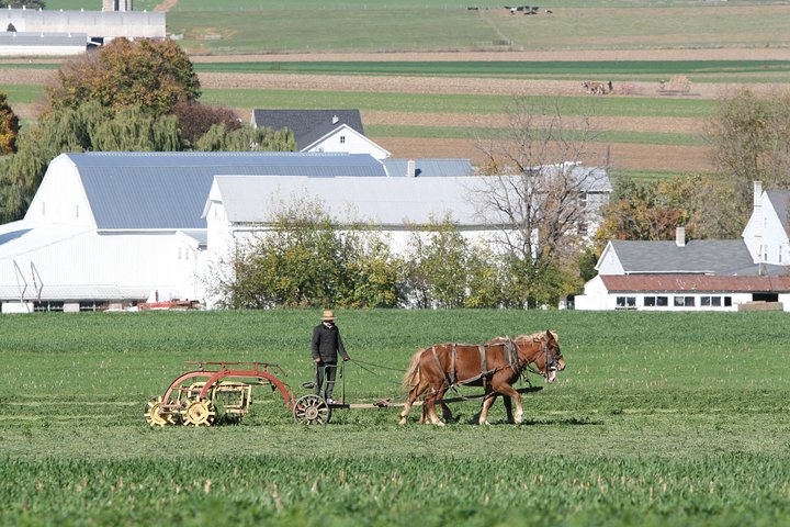 Premium Amish Country Tour inkludert Amish Farm og House